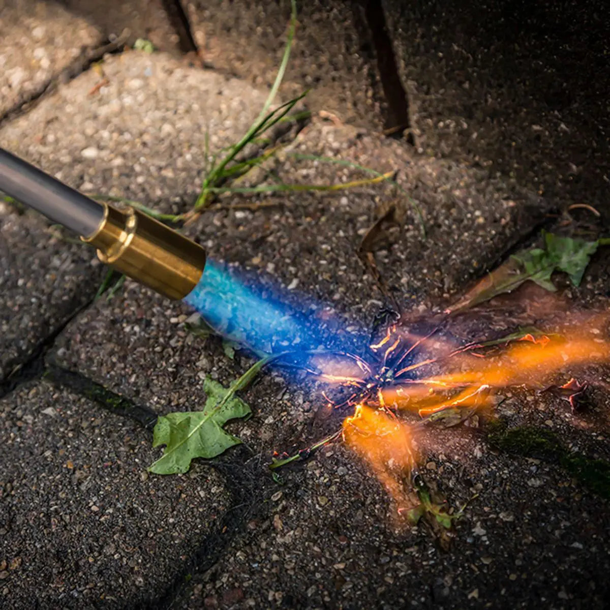 WeedTorch