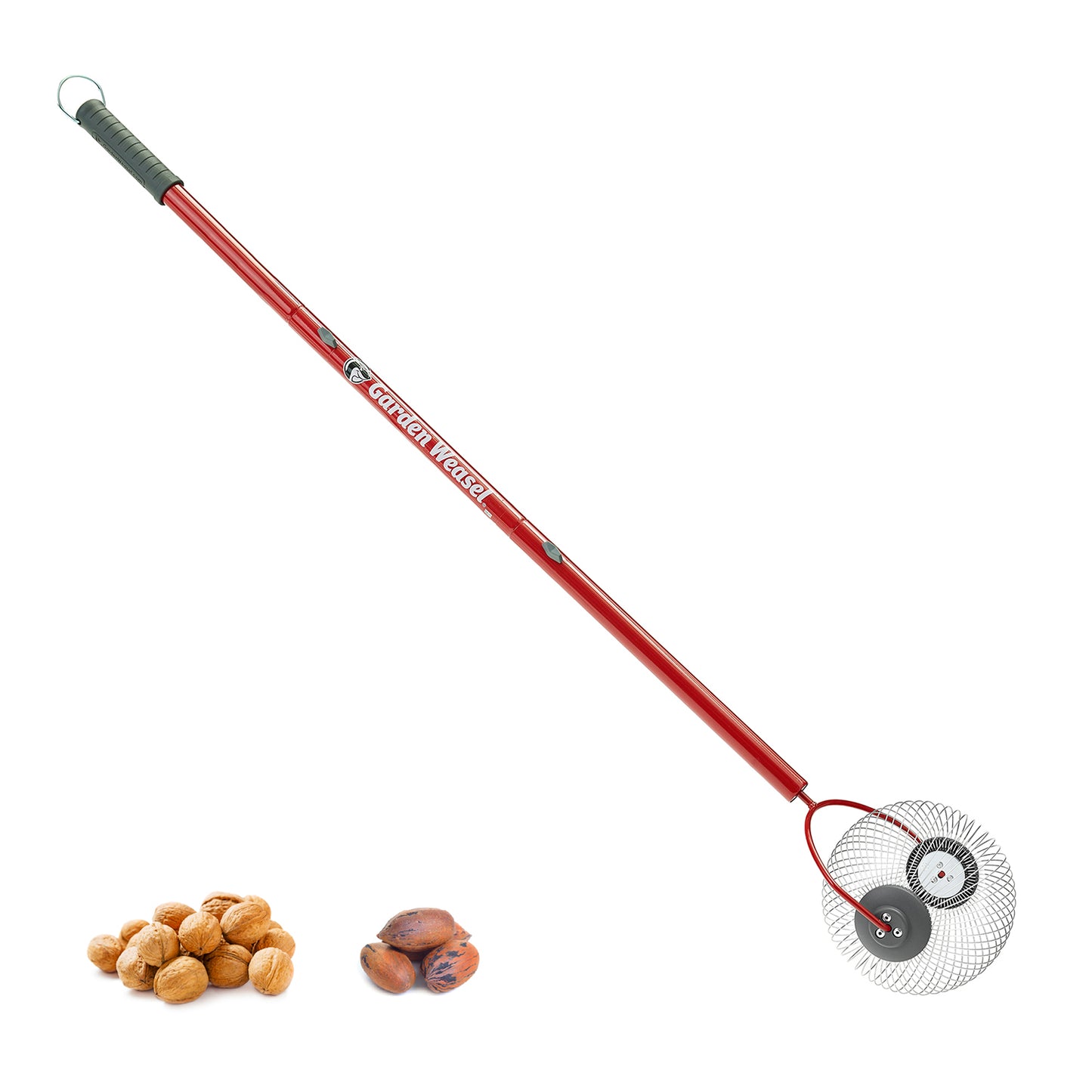 Medium Nut Gatherer