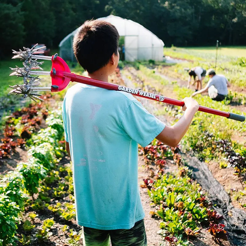 Cultivator and Tiller