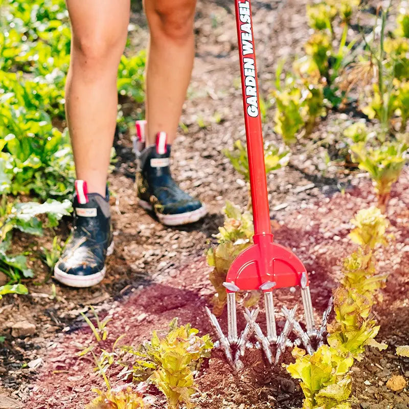 Cultivator and Tiller