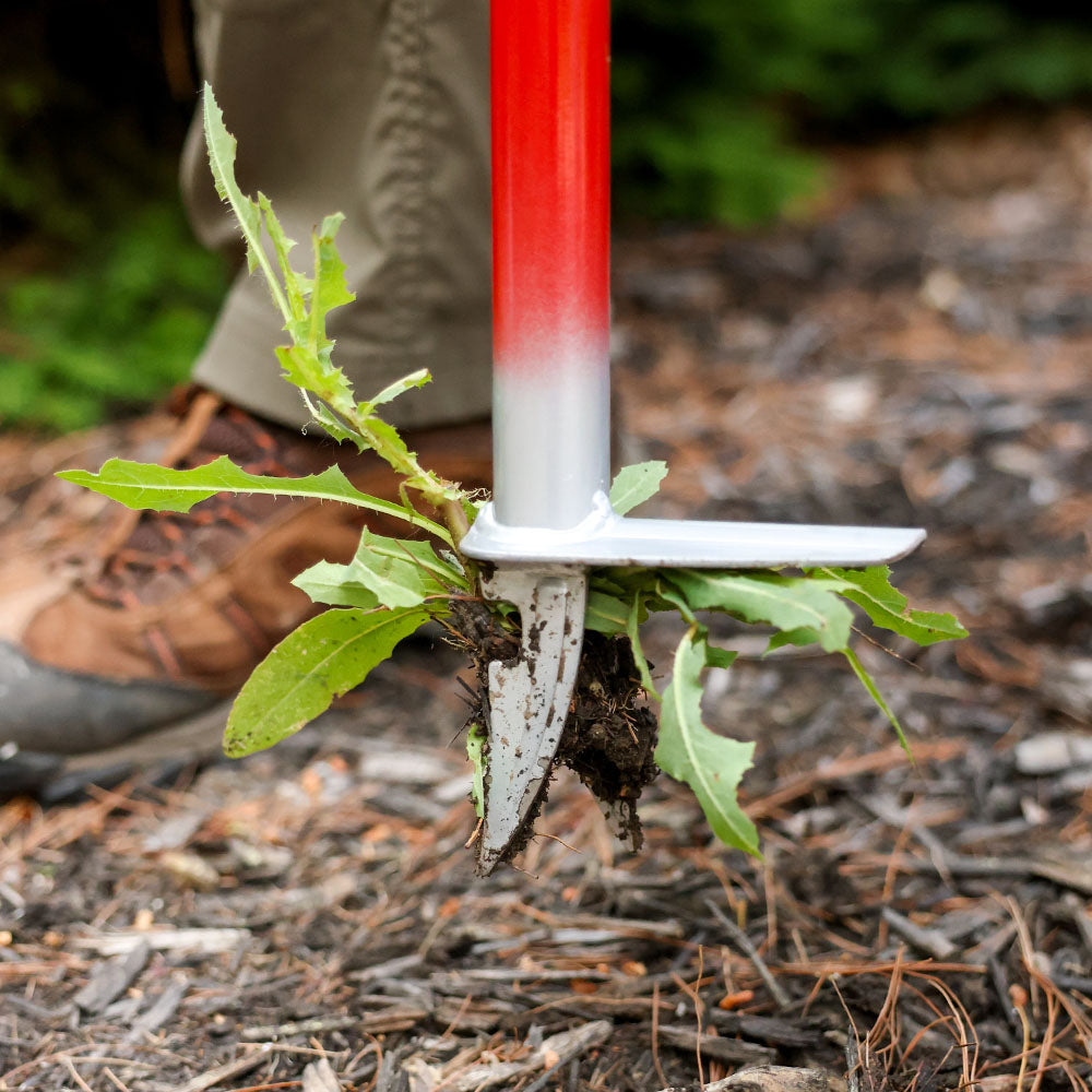 Weeders - Easily Get Rid of Weeds in Gardens – Garden Weasel