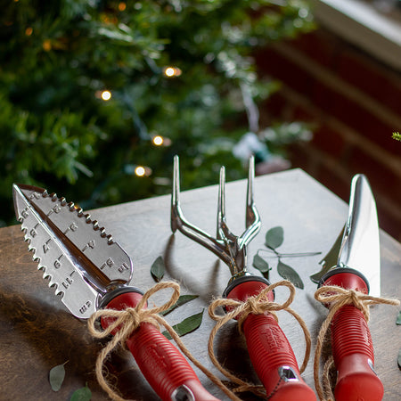 Featured promotion image 1