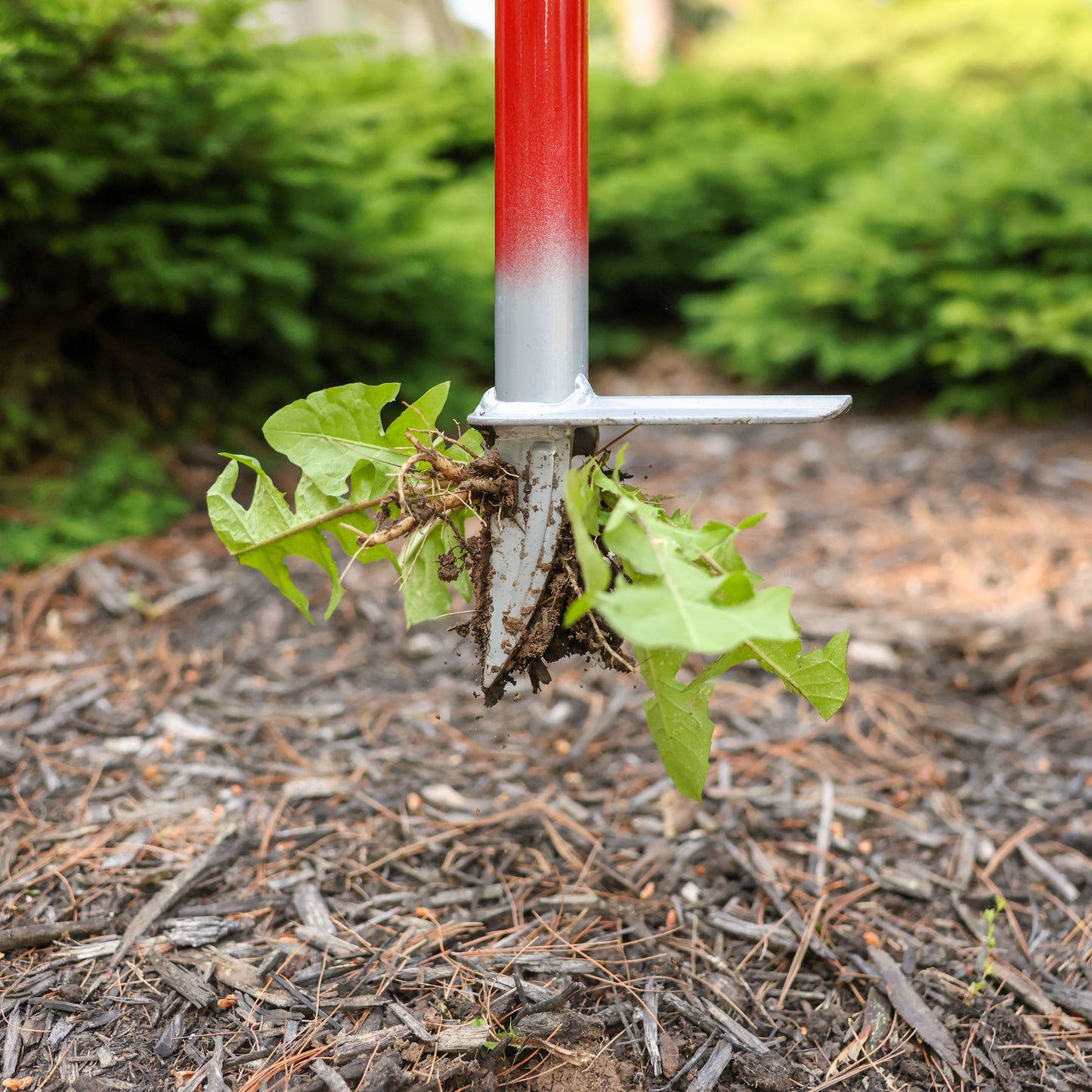 WeedPopper