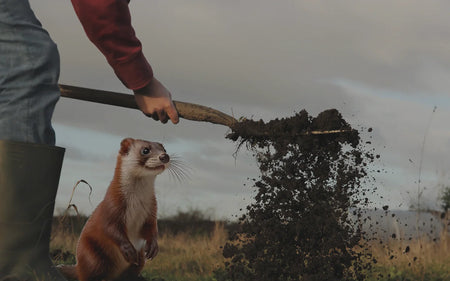 Featured promotion image 1