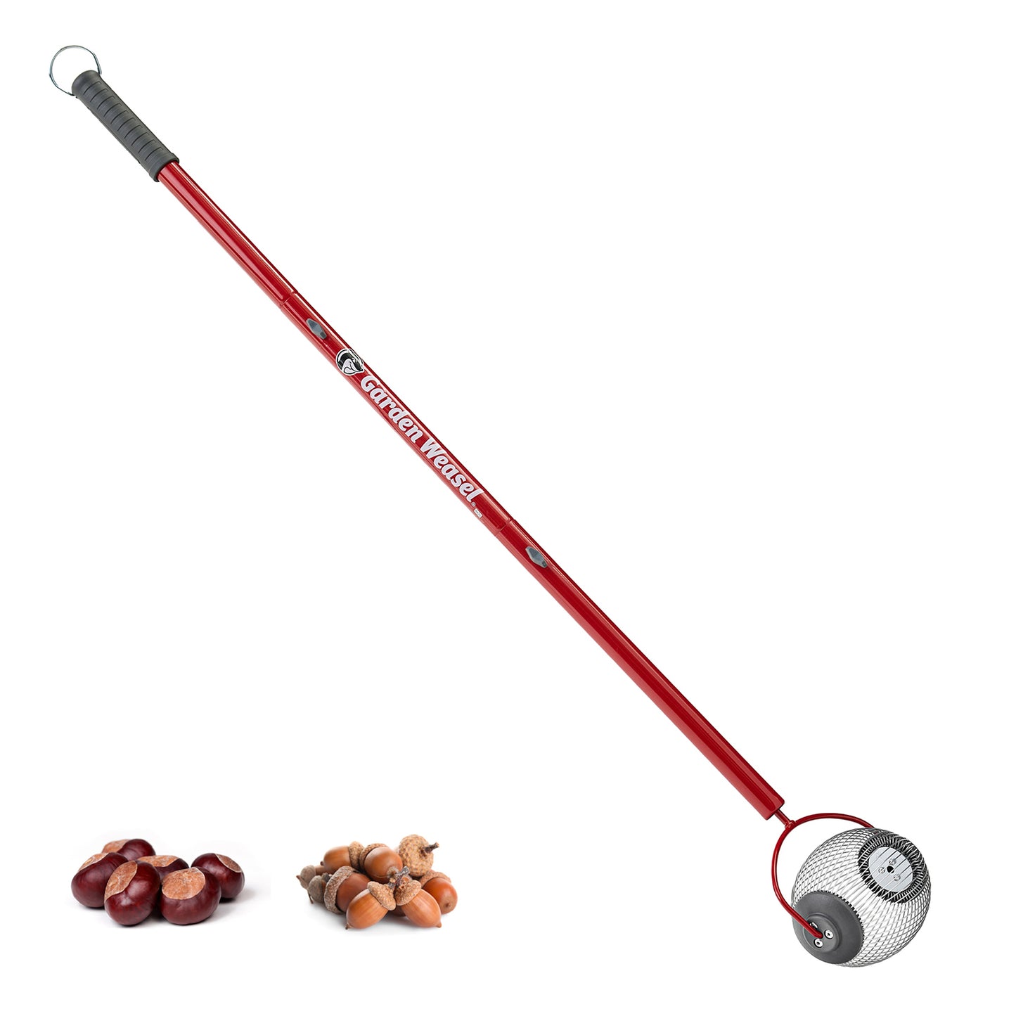 Small Nut Gatherer