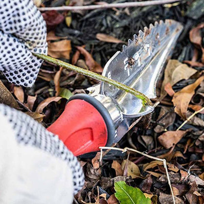 Multi-Use Transplanter