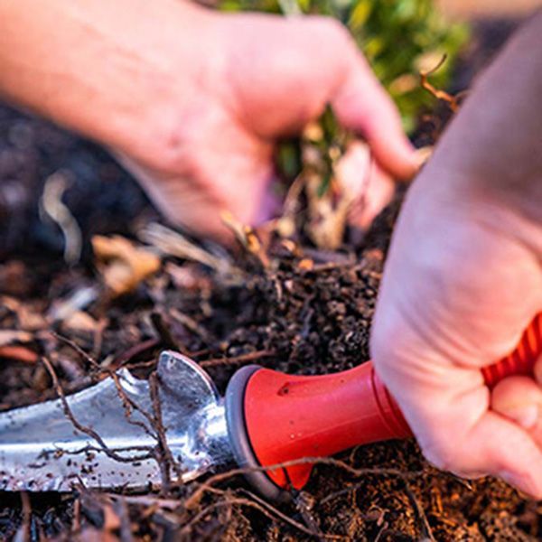 Multi-Use Transplanter