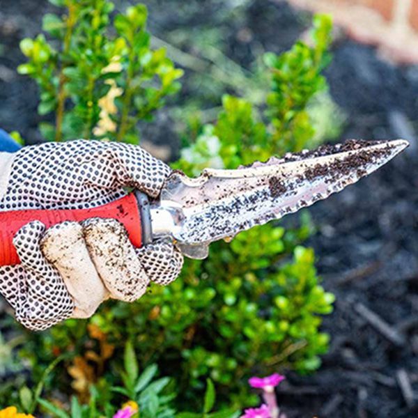 Multi-Use Transplanter